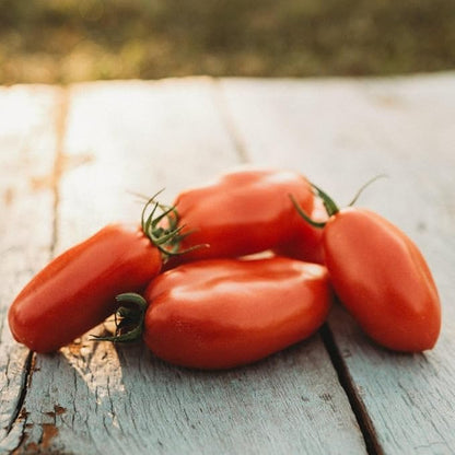 San Marzano Tomato Vegetable Seeds for Planting – Heirloom Non-GMO Garden Seeds