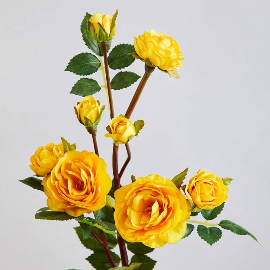 Yellow Rose flower seeds
