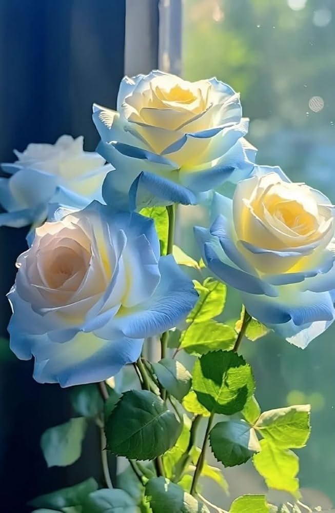 Blue Cream flower seeds