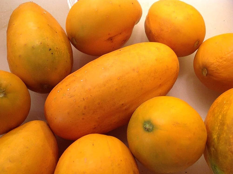 Yellow Cucumber Seeds for Planting – Heirloom Non-GMO Garden Seeds