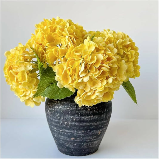 Yellow Hydrangea flower seeds