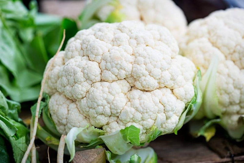 Andes F1 Cauliflower Vegetable Seeds for Planting – Heirloom Non-GMO Garden Seeds