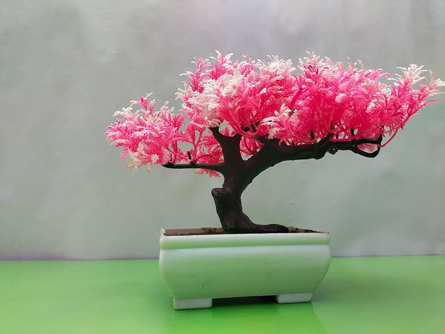 Pink Bonsai flower seeds