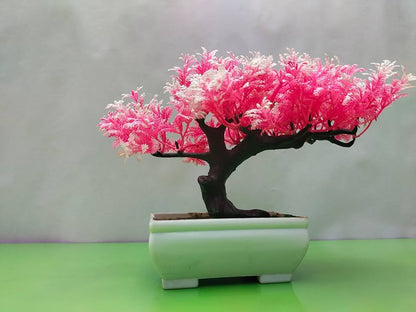 Pink Bonsai flower seeds