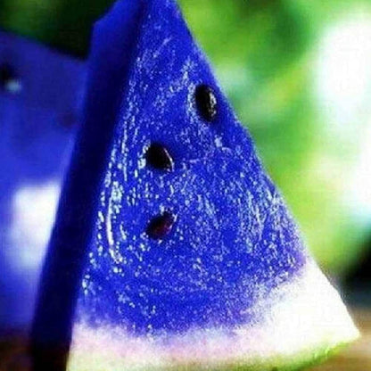 Blue Watermelon Fruit Seeds for Planting – Heirloom Non-GMO Garden Seeds
