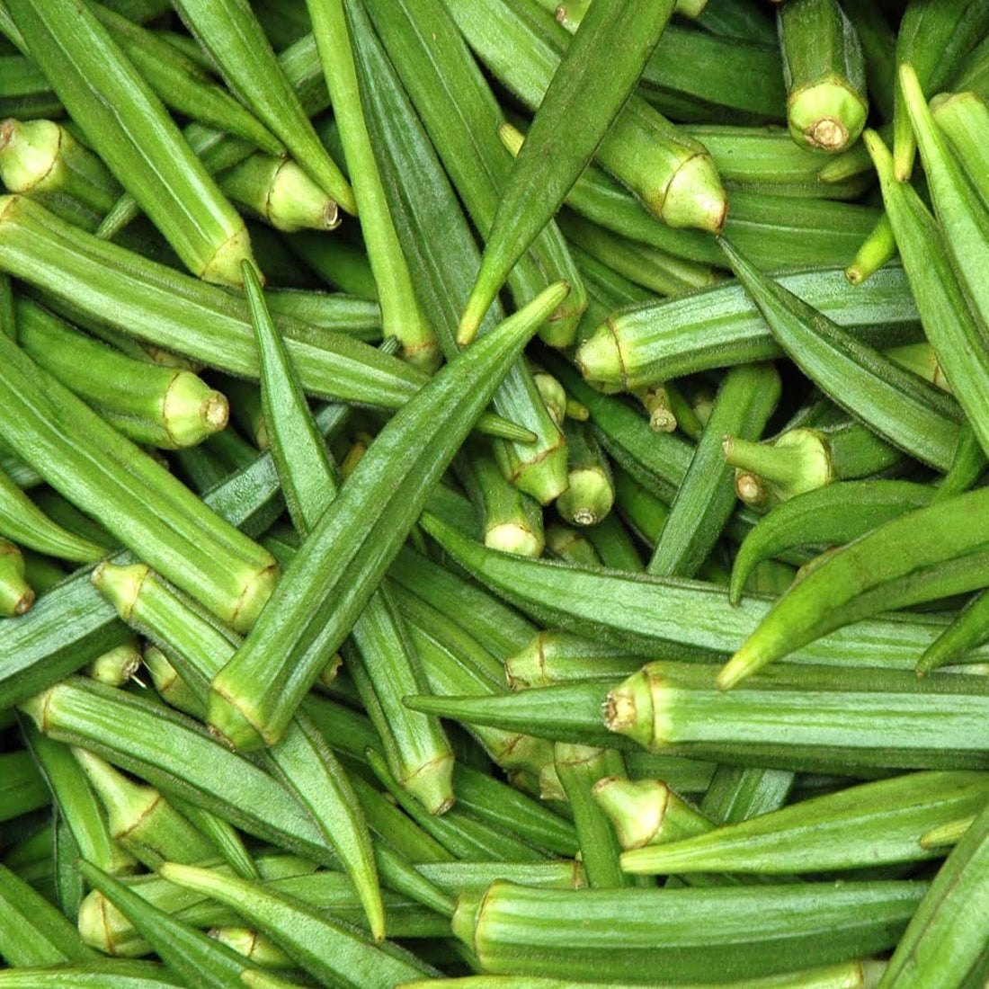 okra seeds