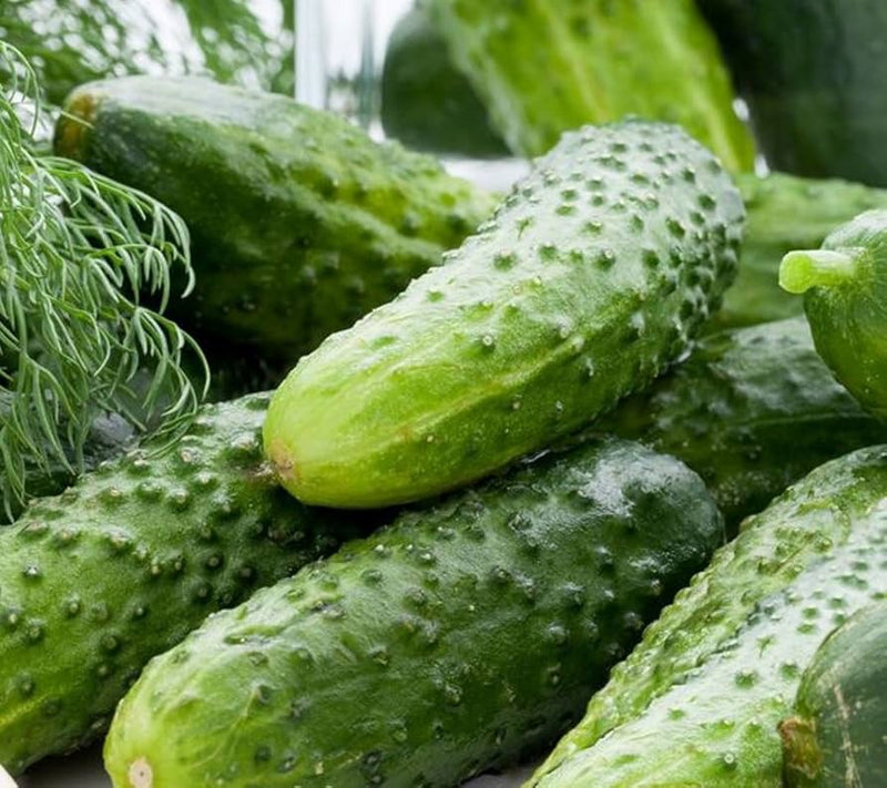 Lyalyuk Pickling Cucumber Seeds for Planting – Heirloom Garden Seeds
