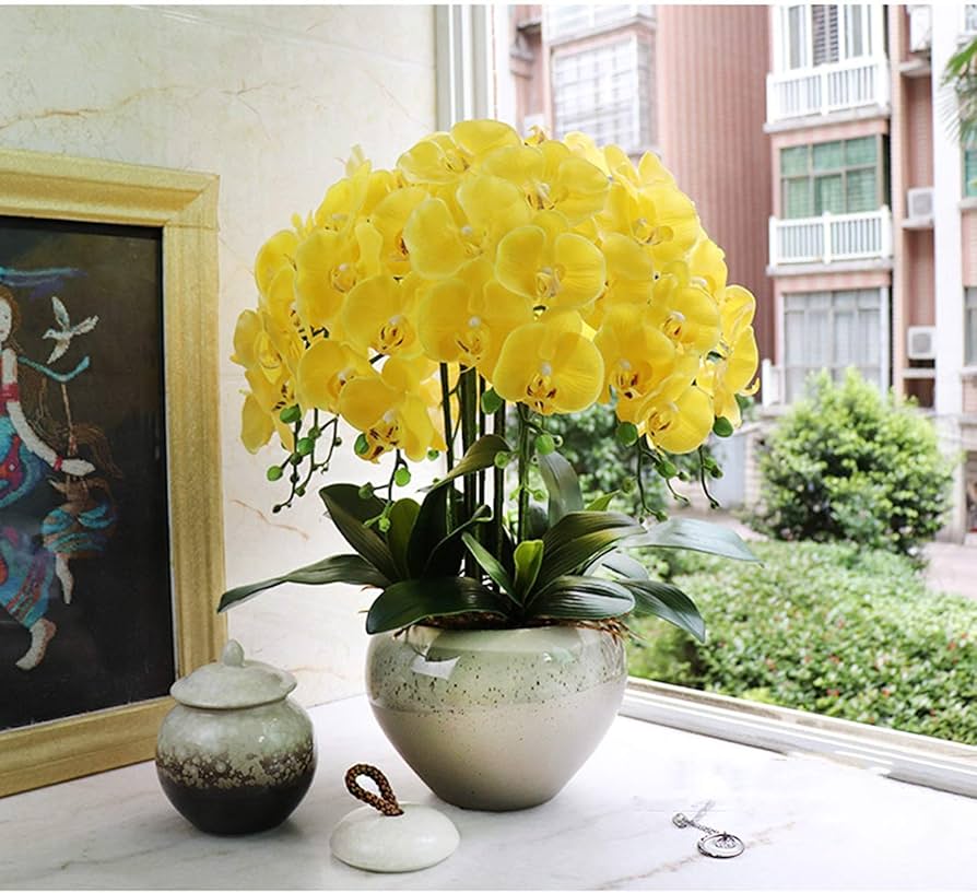 Yellow Butterfly flower seeds