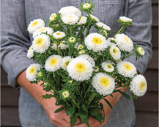 White Green flower seeds