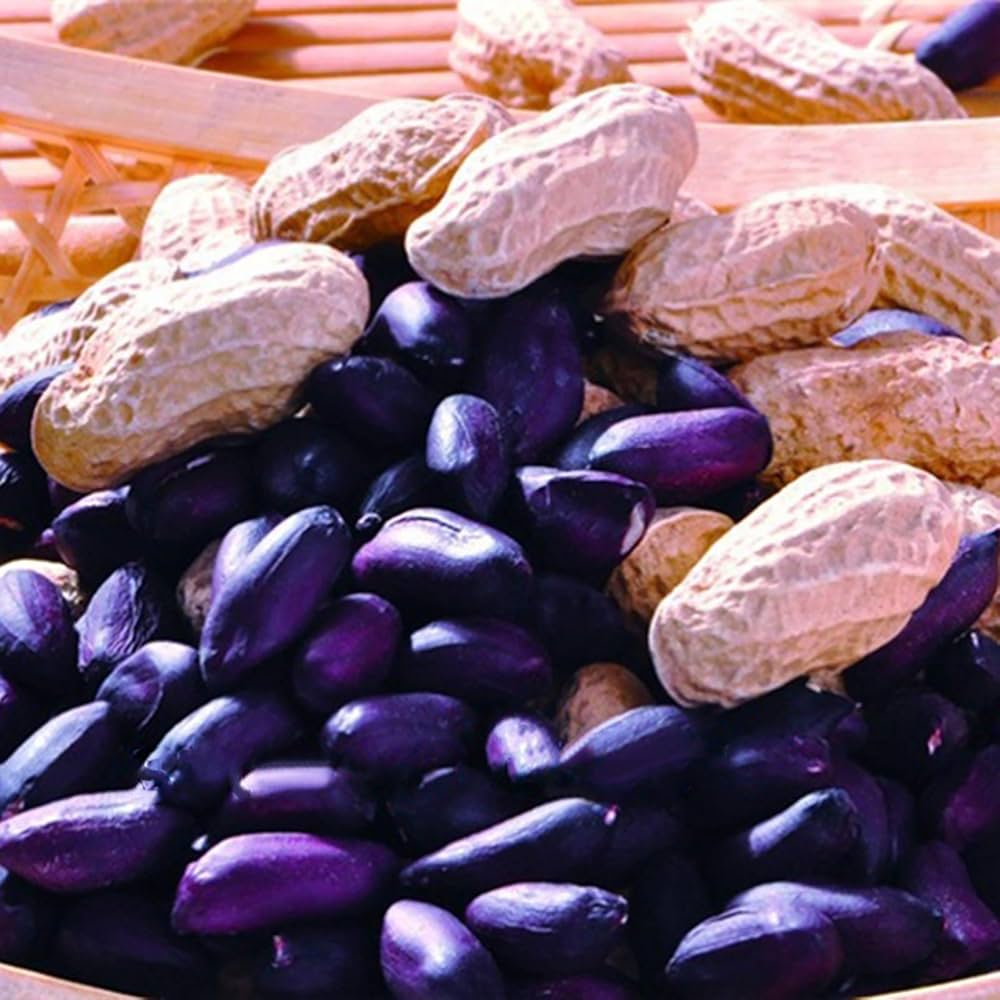 Blue Peanut plant