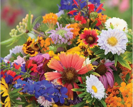 Wildflower flower seeds