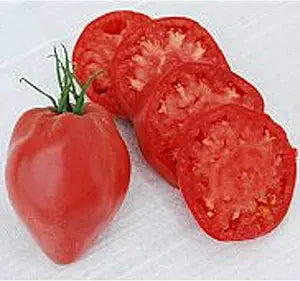 Heart Tomato Vegetable Seeds for Planting – Heirloom Non-GMO Garden Seeds