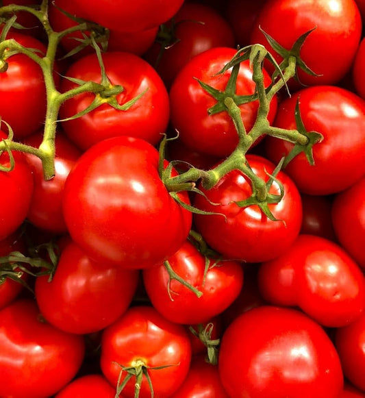 Porter Tomato Seeds