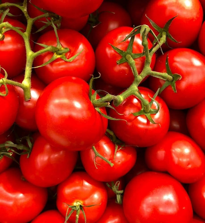 Porter Tomato Seeds