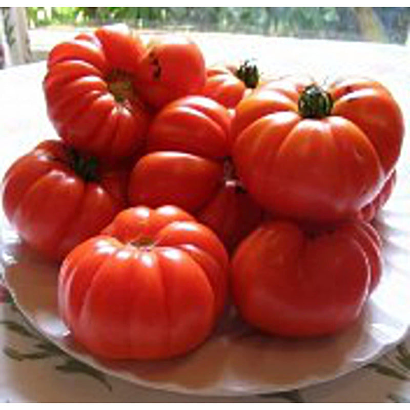 Aussie Tomato Paste Seeds for Planting – Heirloom Non-GMO Garden Seeds