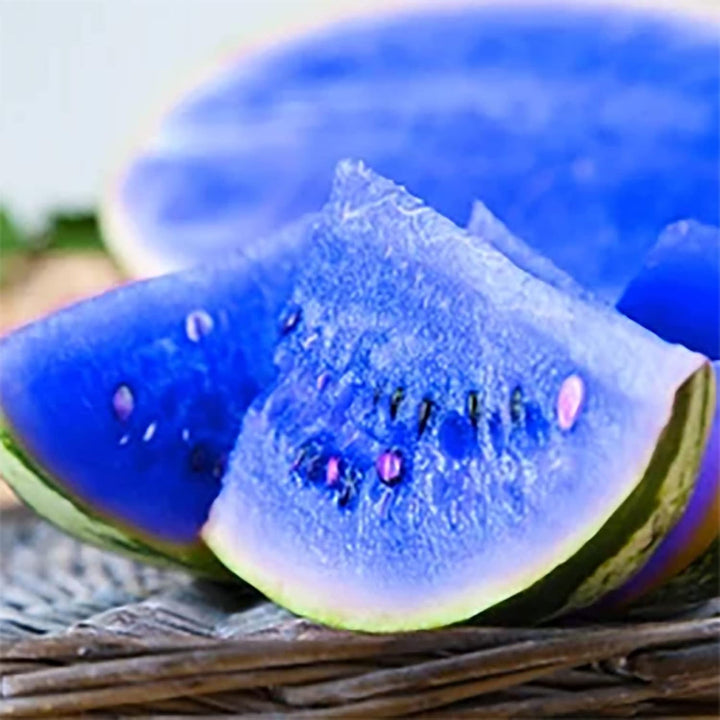blue watermelon seeds