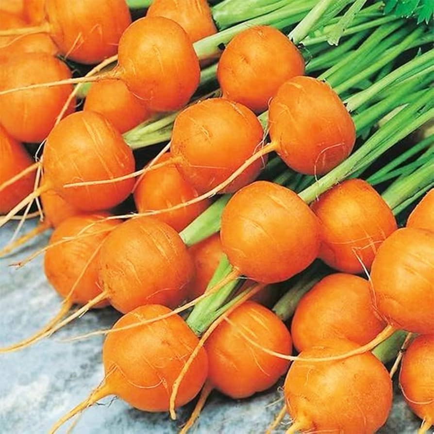 Parisian Carrot Seeds