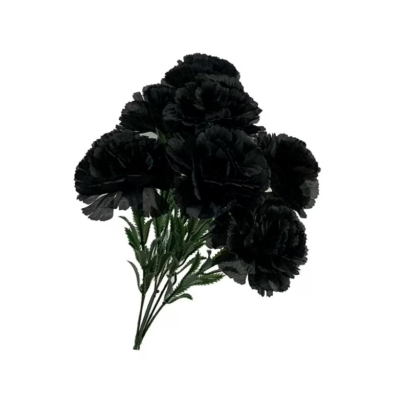Black Carnation flower seeds