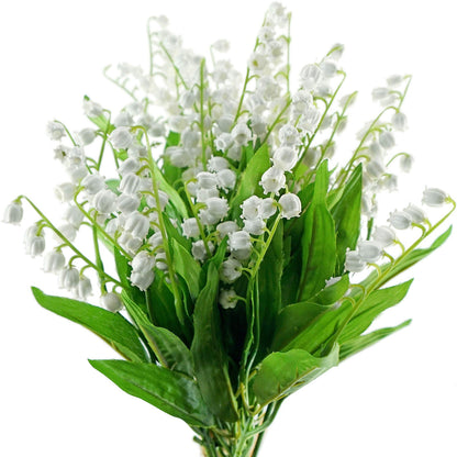Lily Of flower seeds