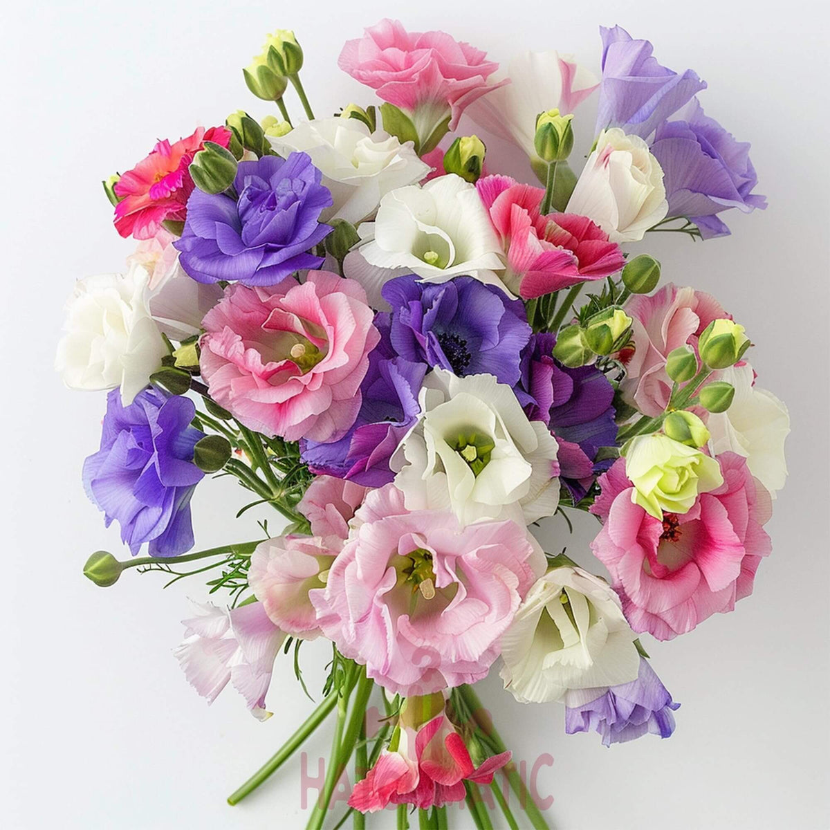 Colorful Mix Lisianthus plant