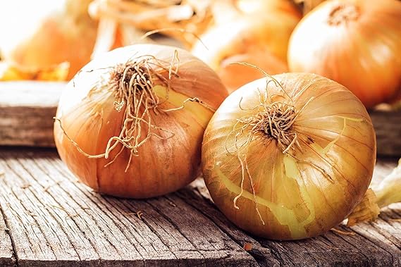 Garden Onion Seeds