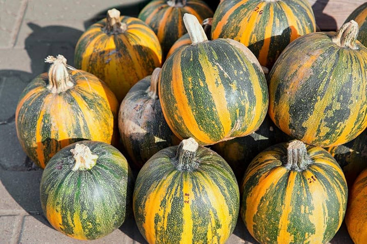 Kakai Hull-Less Pumpkin Seeds