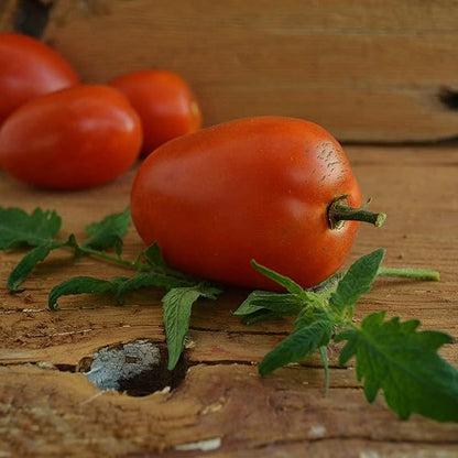 Amish Paste Tomato Vegetable Seeds for Planting – Heirloom Non-GMO Garden Seeds