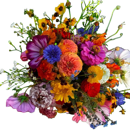 Bouquet Mix Wildflower plant