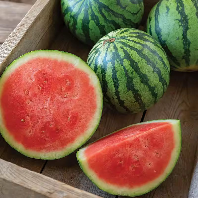 Watermelon Fruit Seeds for Planting – Heirloom Non-GMO Garden Seeds