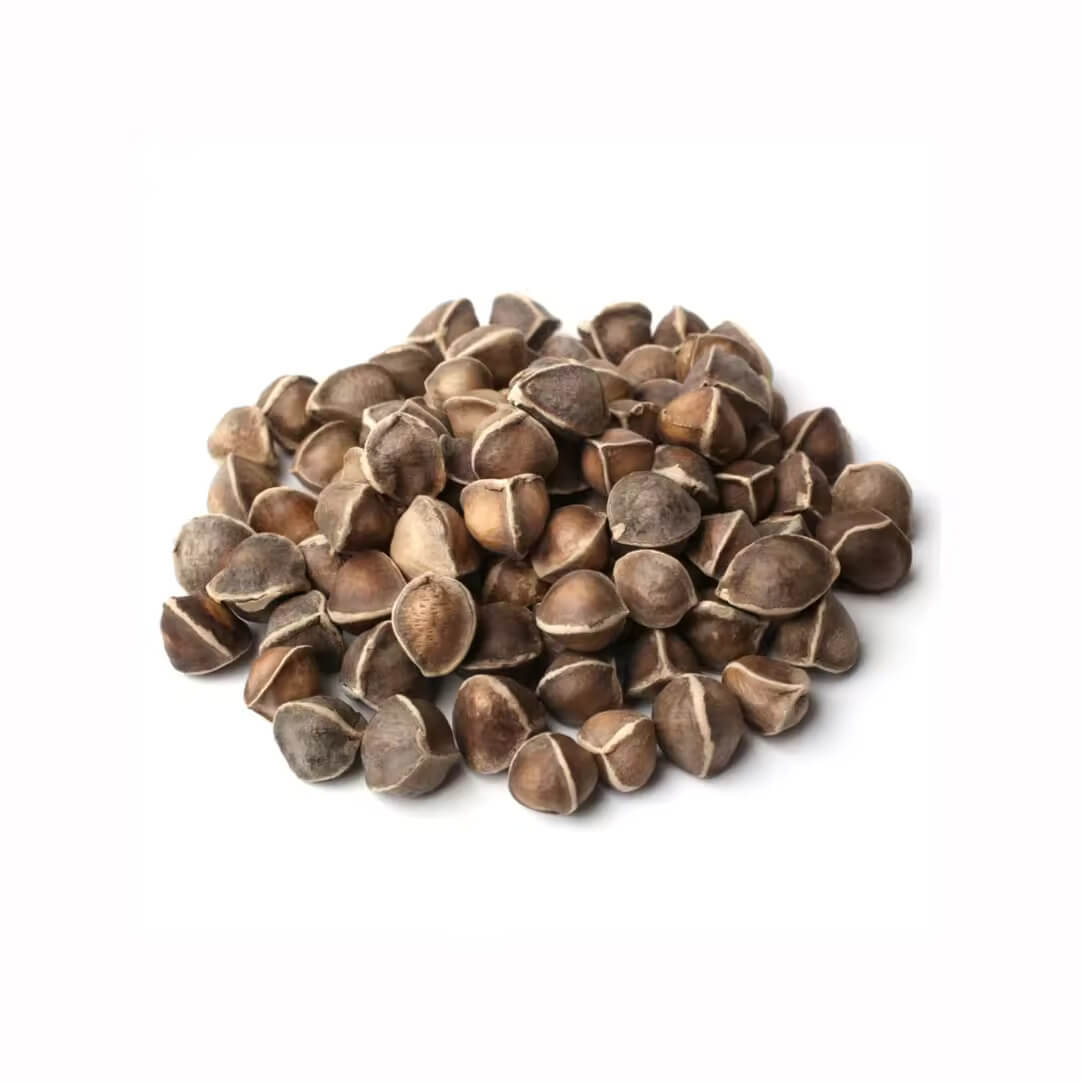 Obesum Desert Rose plant