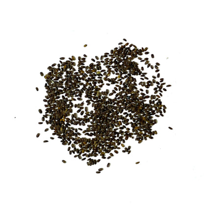 Ageratum plant