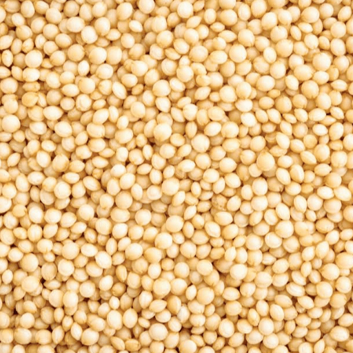 Amaranth plant