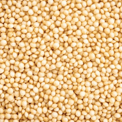 Amaranth plant