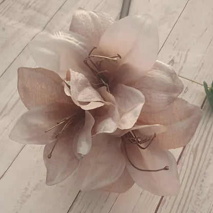 Ash Amaryllis plant