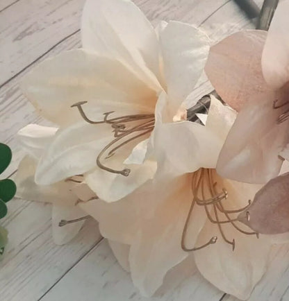 Ash Amaryllis plant
