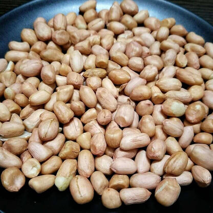 Arachis plant