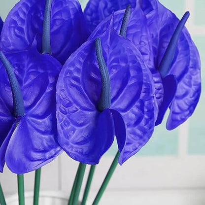 Blue anthurium Linden plant