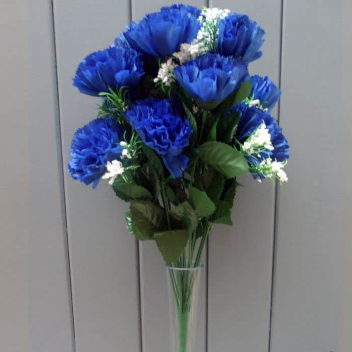 Dark Blue Carnation plant