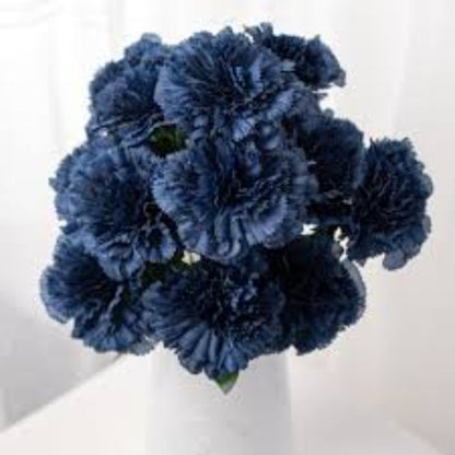 Dark Blue Carnation plant