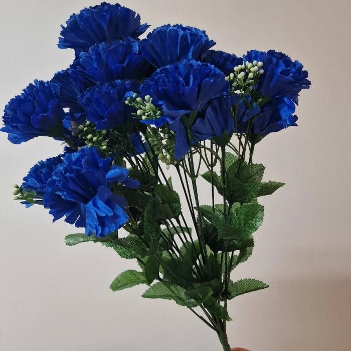 Dark Blue Carnation plant