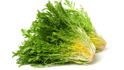 Endive seeds for planting and growing fresh leafy greens in a home vegetable garden