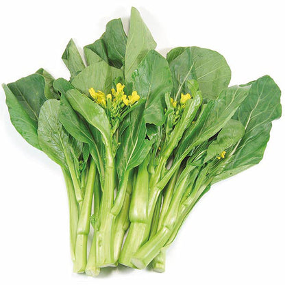 Tsoi Sim Seeds