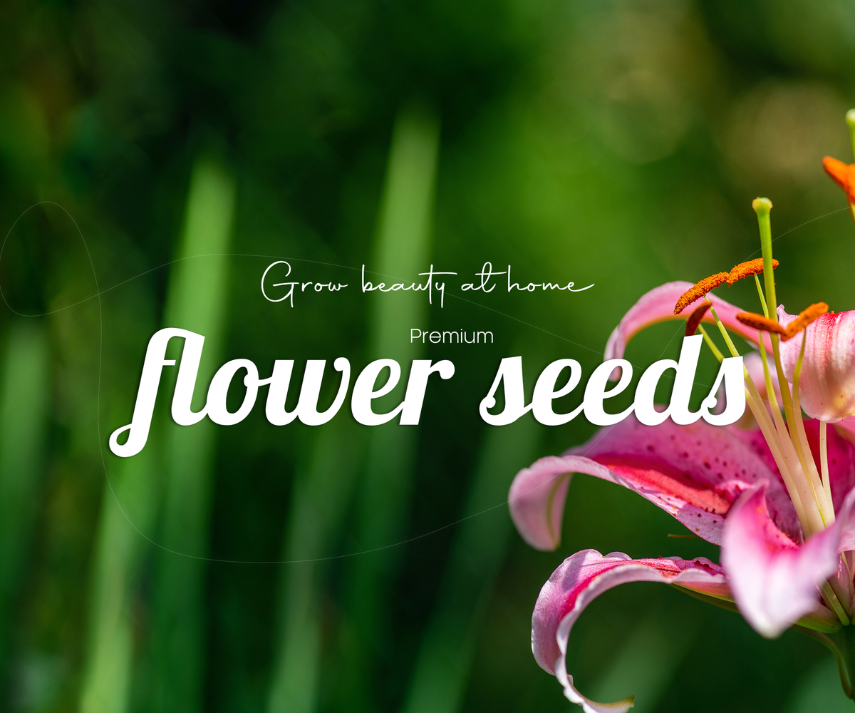 Seeds for a more beautiful harvest