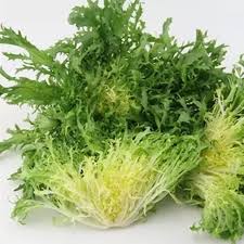 Frisée Endive Vegetable Seeds for Planting – Curly Green Endive