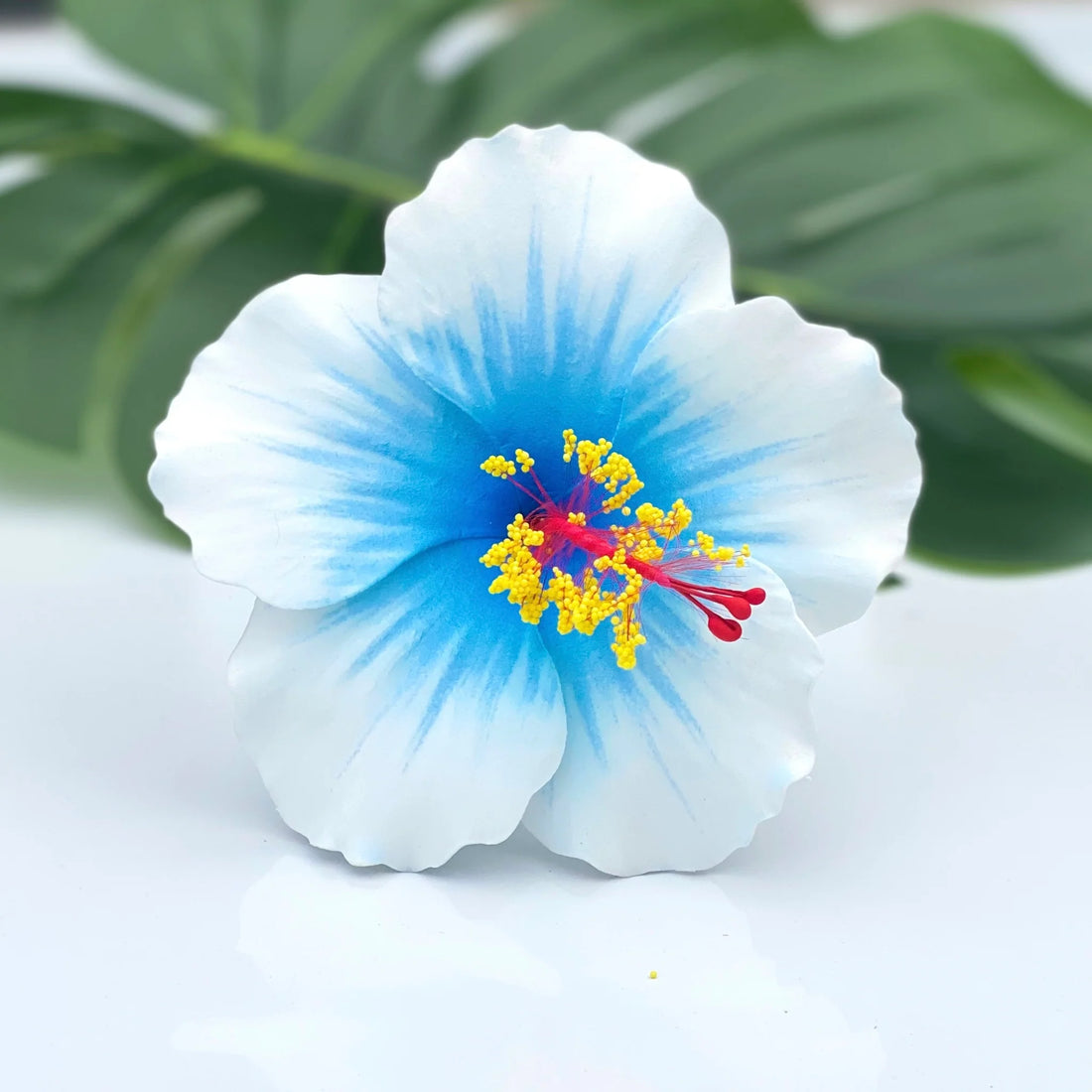 Light Blue flower seeds