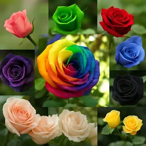 Blue Multicolor flower seeds