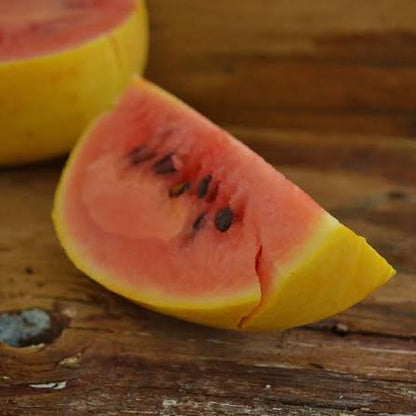 Golden Midget Watermelon with Golden Yellow Rind
