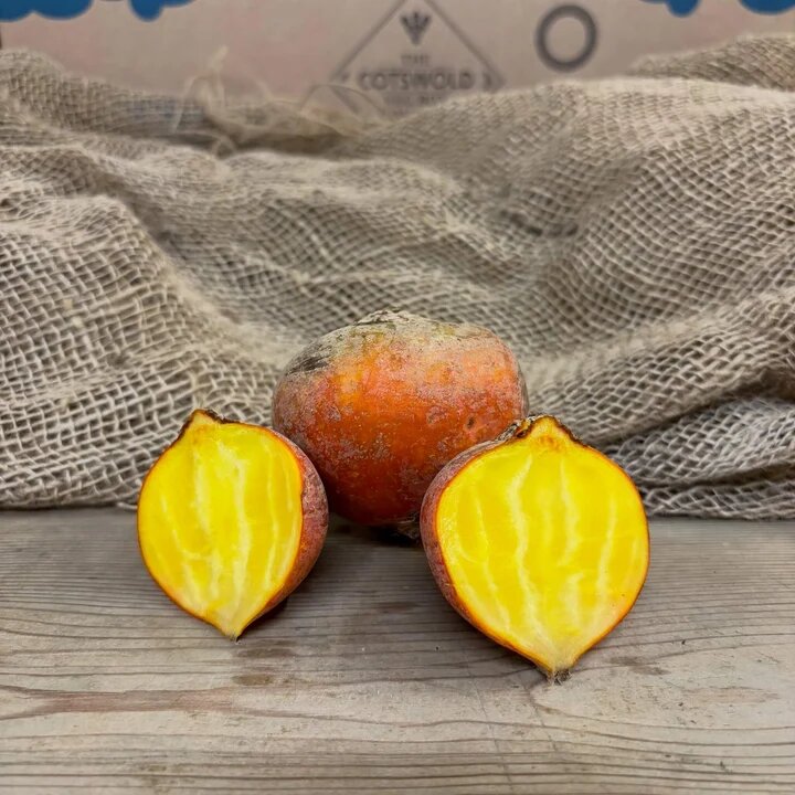 Yellow beetroot vegetable seeds for planting with golden beet roots