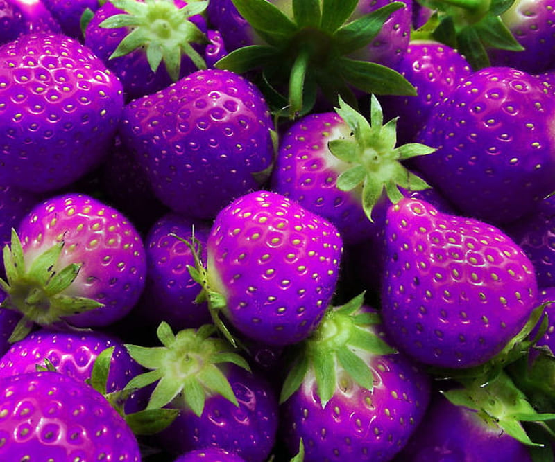 Purple Strawberry Fruit Seeds for Planting – Heirloom Non-GMO Garden Seeds