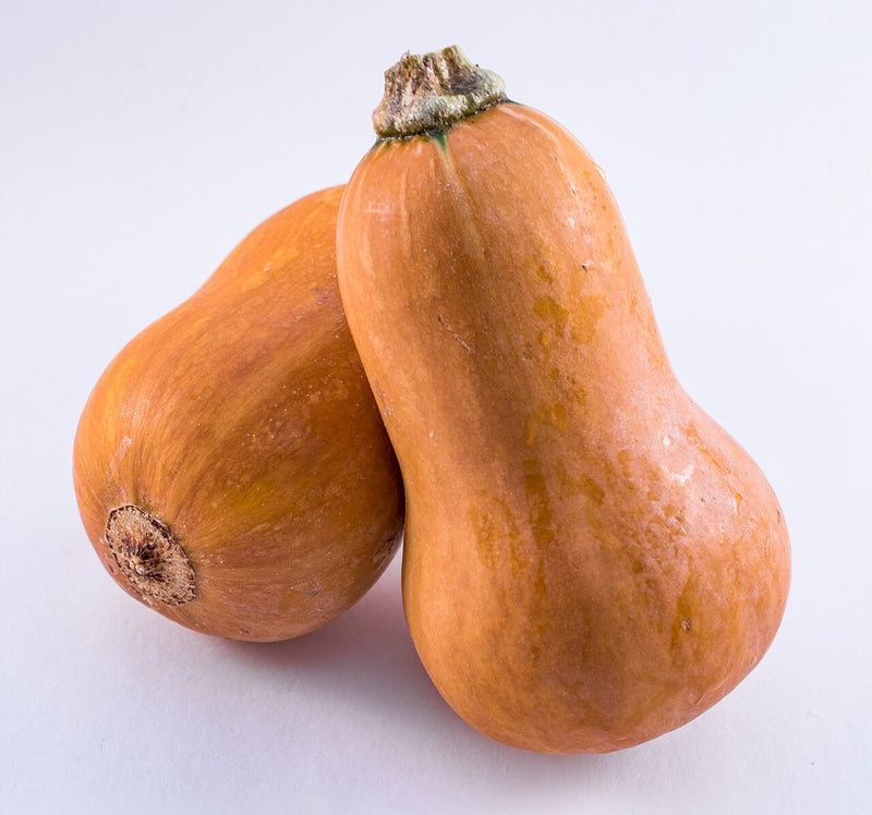 Honeynut Squash Seeds for Planting – Heirloom Garden Seeds